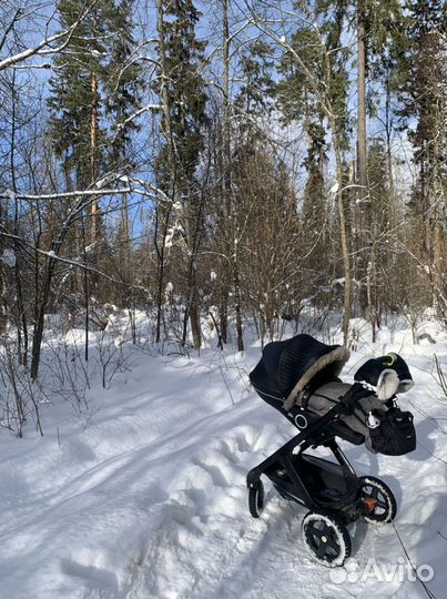 Коляска 3 в 1 Stokke trailz