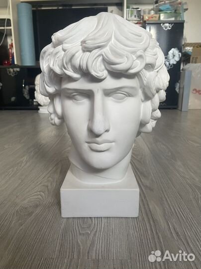 Гипсовый бюст