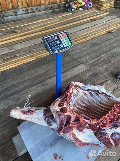 Продам мясо говядина