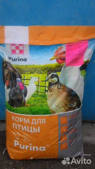 Комбикорм purina