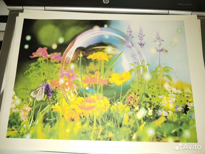Принтер HP deskjet 1510 с снпч