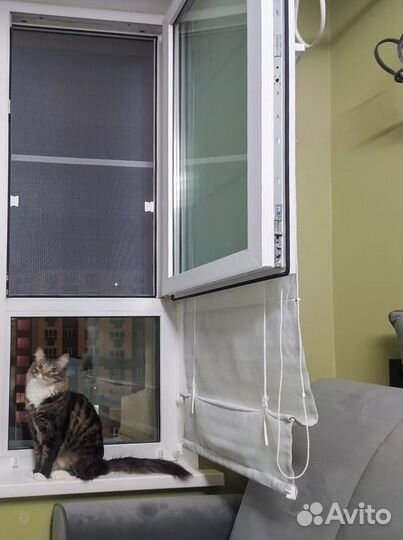 Москитная сетка антикошка