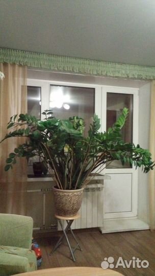 Шторы и занавески бу (на три окна)