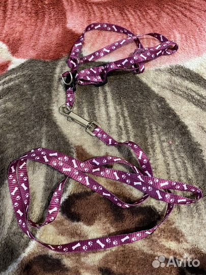 Шлейка для кошки