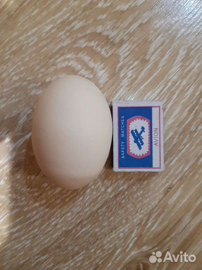 Яйцо деревенское оптом