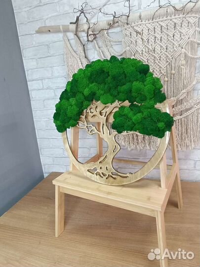 Панно из стабилизированного мха в наличии