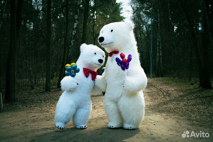 Поздравление, белый Медведь, Мишка, шарики