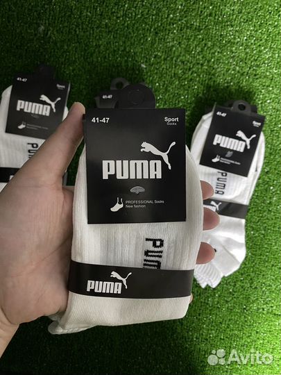 Носки мужские fila