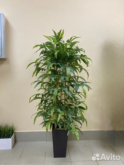 Бамбук цветок искусственный домой кафе ресторан