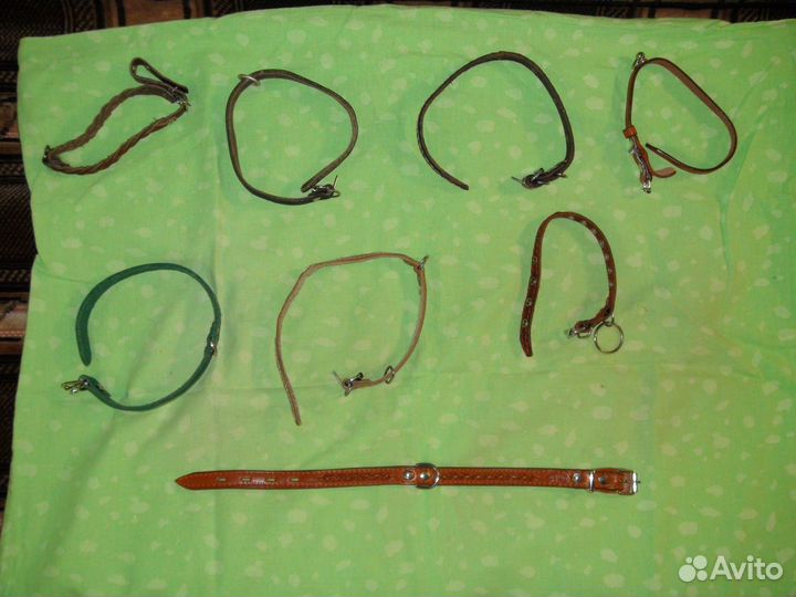 Аксессуары для небольшой собачки