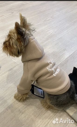 Одежда для собак