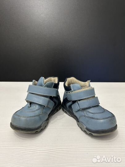 Демисезонные ботинки для мальчика палада 22 р-р