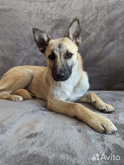 Молодая девочка очень нуждается в семье