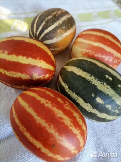 Мини Дынька семена