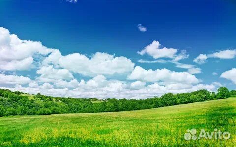 Луговая земля от 1 m3