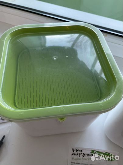 Проращиватель 