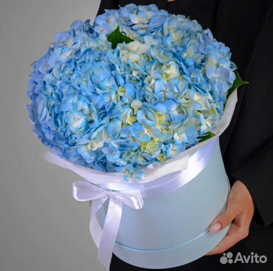 Гортензия в шляпной коробке, гортензия с доставкой