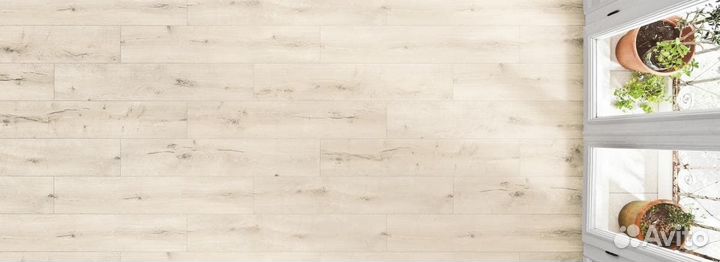 Ламинат Haro Tritty 100 Campus 4V Дуб Луна 532 784