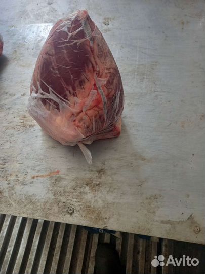 Мясо говядина для собак