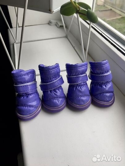 Ботинки для маленькой собачки 1р