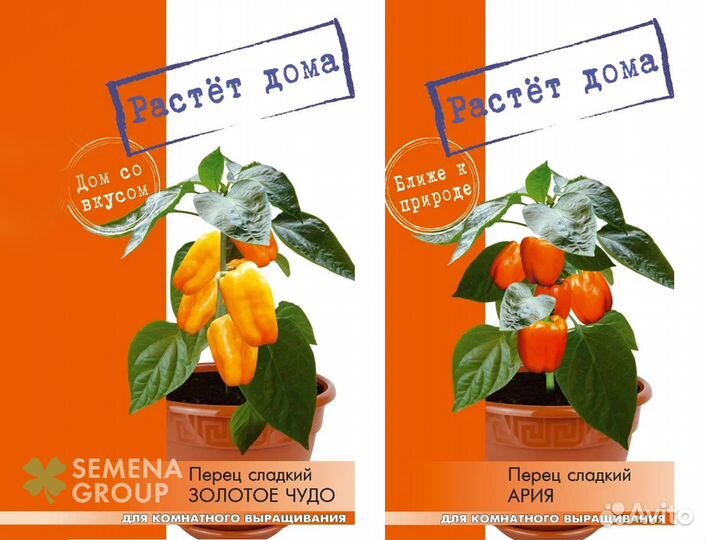 Пакетированные семена оптом для торговых сетей