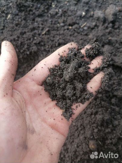 Плодородный грунт в Чубовку