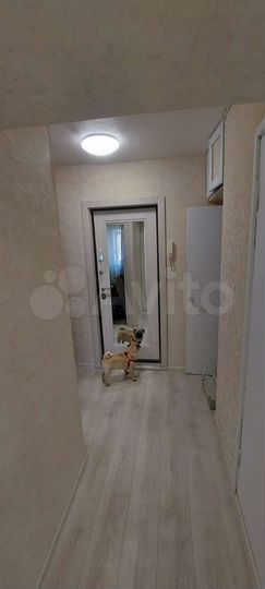 1-к. квартира, 38 м², 3/5 эт.