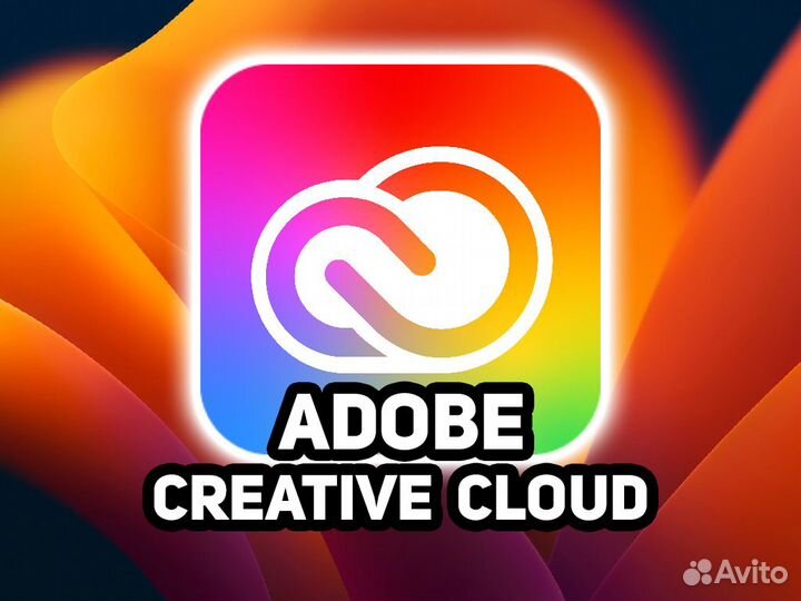 Photoshop, Lightroom, Illustrator, Premiere Pro