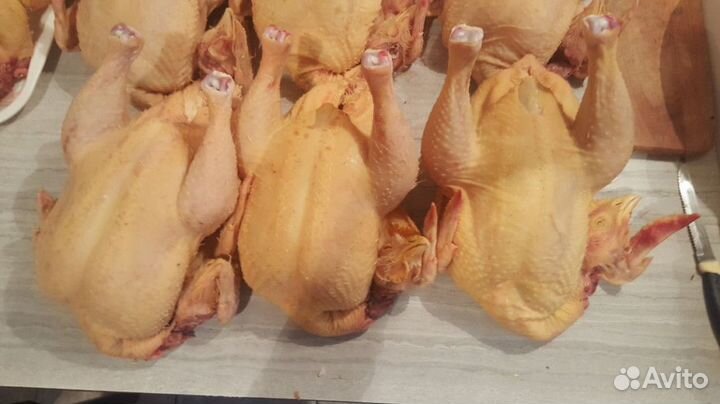 Мясо домашнего бройлера