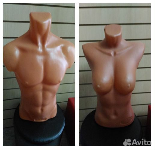 Пластиковые торсы