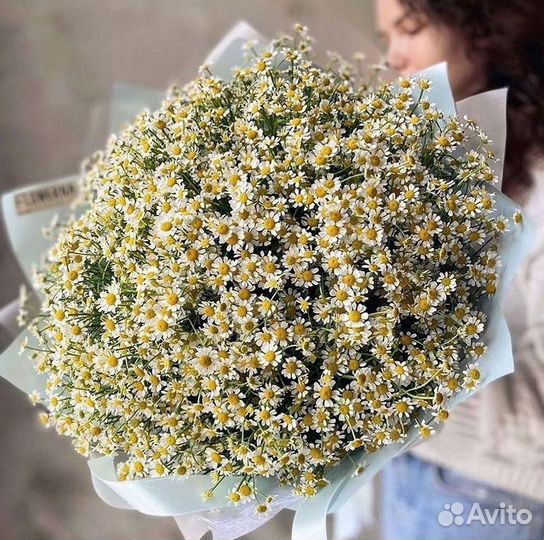 Цветы ромашки. Букеты ромашек. Цветы доставка
