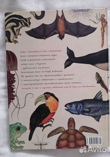 Анималиум. Книга про животный мир