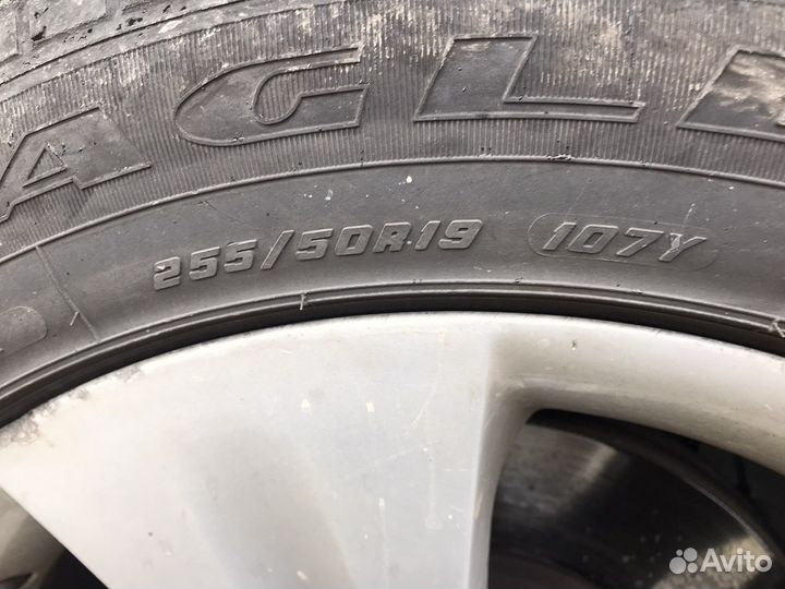 Goodyear Eagle F1 All Season 255/50 R19