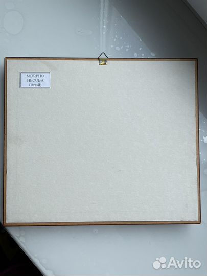 Бабочки в рамке