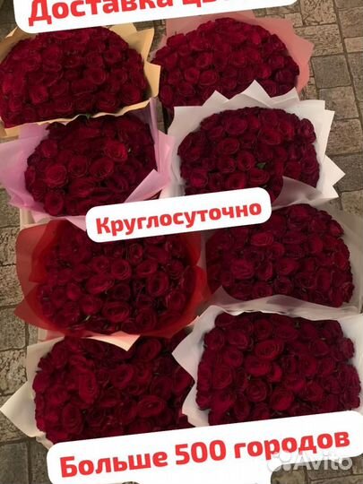 Розы 25/51/101 Йошкар-Ола