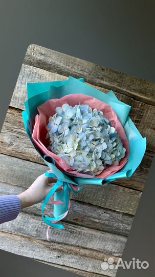 Гортезия. Букеты цветов Вологда