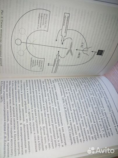 Селекция на мясность: качество продукции и стрессо