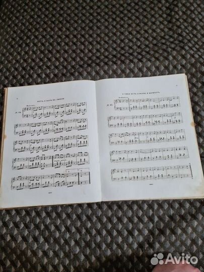 Ночь у яра, 19 век