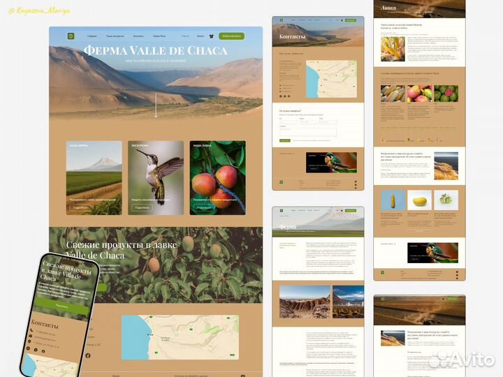 Создание сайтов на Тильда под ключ / веб дизайн