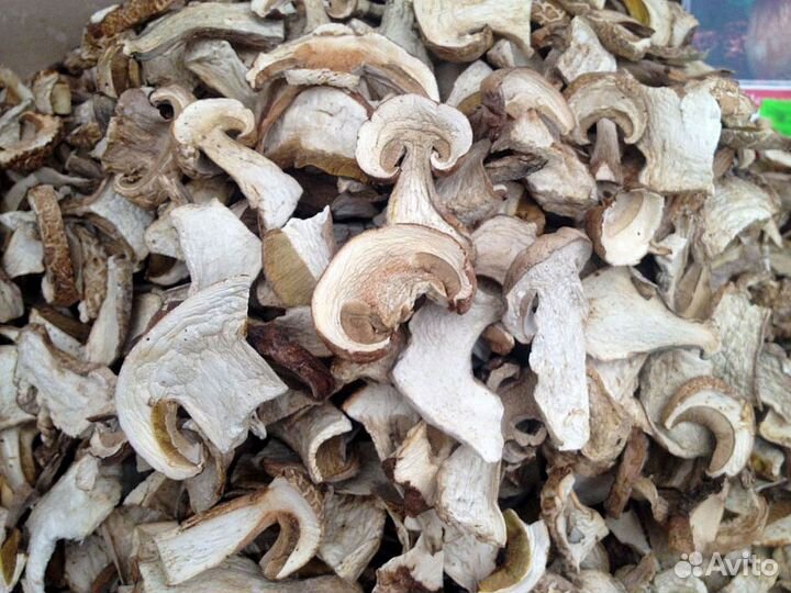 Сушеные белые грибы 1 кг в розницу и оптом