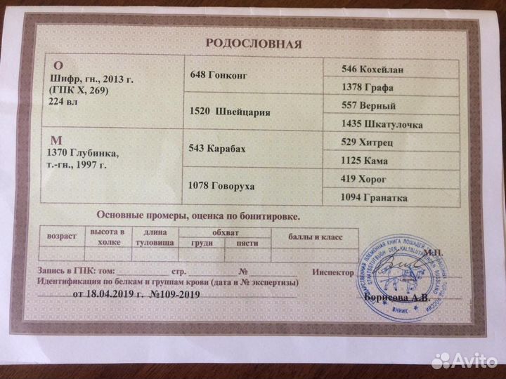Владимирский тяжеловоз