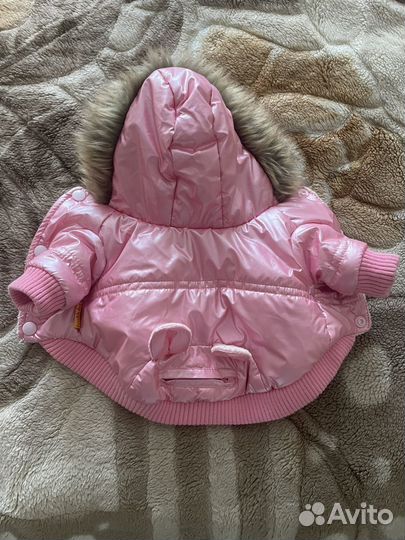 Одежда для маленьких собак