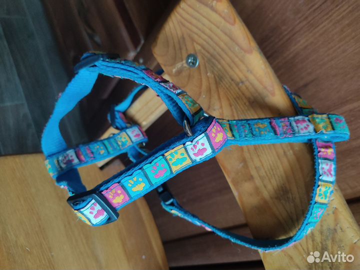 Аксессуары для собаки