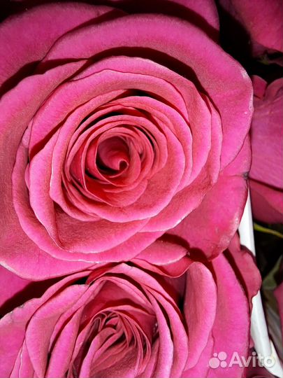 Гипсофила, розы, хризантемы, букеты