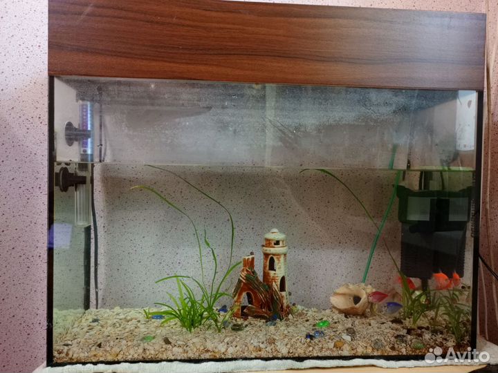 Аквариум