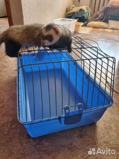 Клетка для грызунов бу