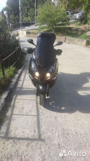 Yamaha Majesty 250