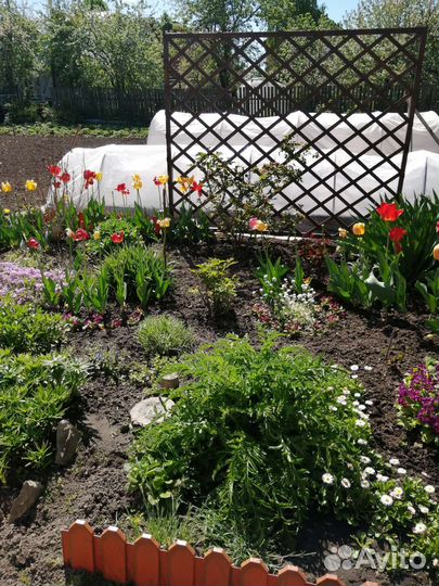 Шпалера садовая