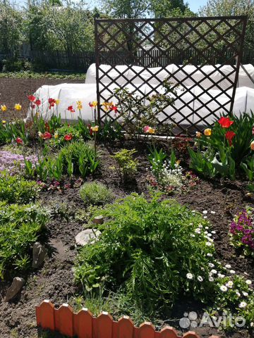 Шпалера садовая