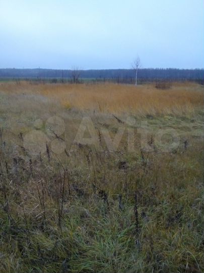 Участок 25 сот. (ИЖС)